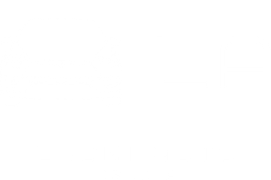 ladni auto logo