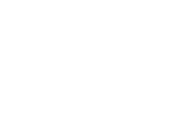 ladni auto logo