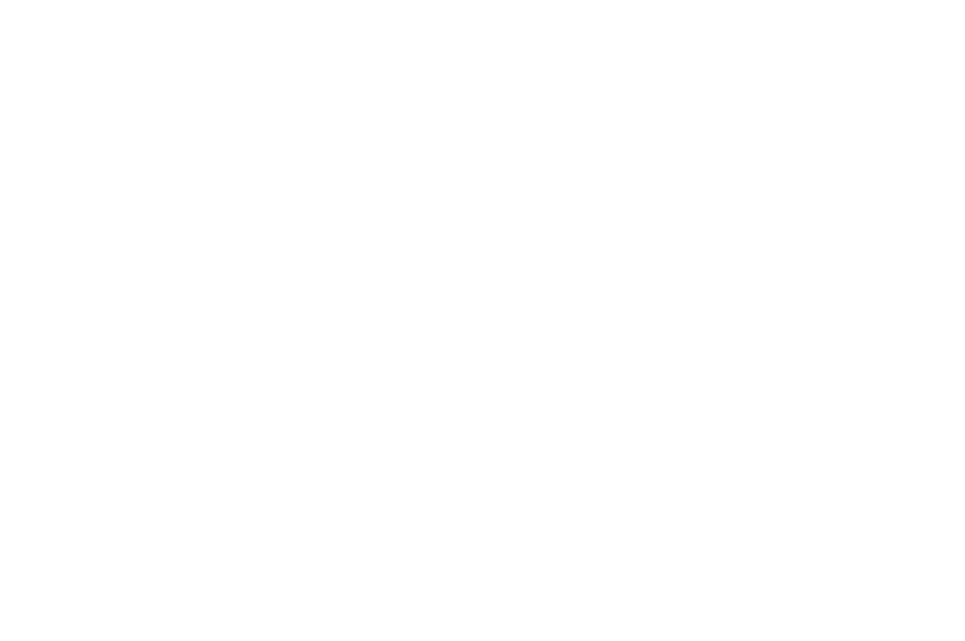 Ladni Auto Logo